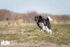 © all rights reserved - Photo by Lisanne Bakker