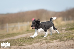 © all rights reserved - Photo by Lisanne Bakker