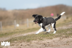 © all rights reserved - Photo by Lisanne Bakker