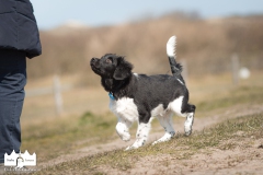 © all rights reserved - Photo by Lisanne Bakker