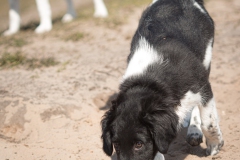 © all rights reserved - Photo by Lisanne Bakker