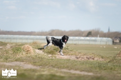 © all rights reserved - Photo by Lisanne Bakker