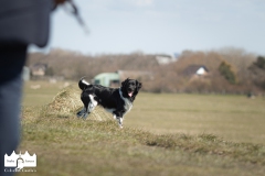 © all rights reserved - Photo by Lisanne Bakker