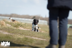 © all rights reserved - Photo by Lisanne Bakker