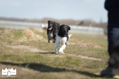 © all rights reserved - Photo by Lisanne Bakker