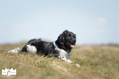 © all rights reserved - Photo by Lisanne Bakker