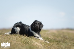 © all rights reserved - Photo by Lisanne Bakker