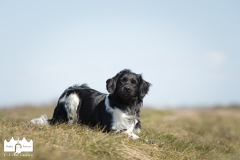 © all rights reserved - Photo by Lisanne Bakker