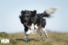 © all rights reserved - Photo by Lisanne Bakker