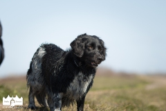 © all rights reserved - Photo by Lisanne Bakker