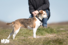 © all rights reserved - Photo by Lisanne Bakker