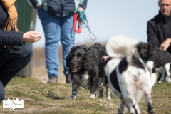 © all rights reserved - Photo by Lisanne Bakker