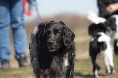 © all rights reserved - Photo by Lisanne Bakker