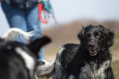 © all rights reserved - Photo by Lisanne Bakker