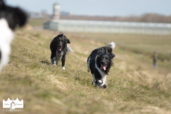 © all rights reserved - Photo by Lisanne Bakker