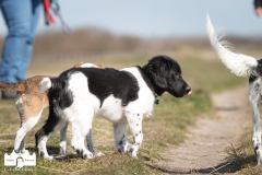 © all rights reserved - Photo by Lisanne Bakker