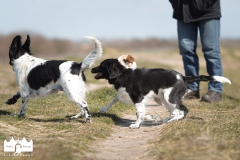 © all rights reserved - Photo by Lisanne Bakker