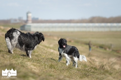 © all rights reserved - Photo by Lisanne Bakker