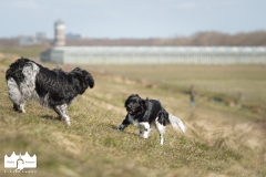 © all rights reserved - Photo by Lisanne Bakker