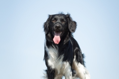 © all rights reserved - Photo by Lisanne Bakker