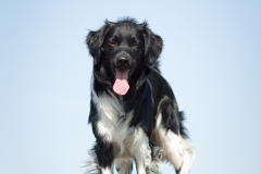 © all rights reserved - Photo by Lisanne Bakker