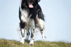 © all rights reserved - Photo by Lisanne Bakker