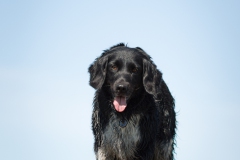 © all rights reserved - Photo by Lisanne Bakker