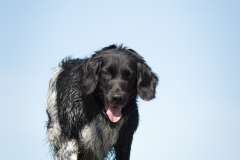 © all rights reserved - Photo by Lisanne Bakker