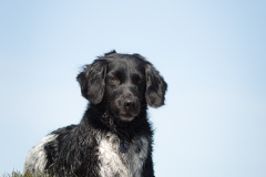 © all rights reserved - Photo by Lisanne Bakker