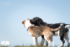 © all rights reserved - Photo by Lisanne Bakker