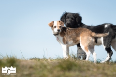 © all rights reserved - Photo by Lisanne Bakker