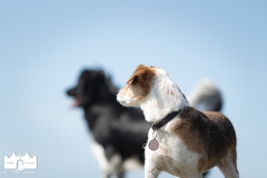 © all rights reserved - Photo by Lisanne Bakker