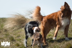 © all rights reserved - Photo by Lisanne Bakker