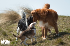 © all rights reserved - Photo by Lisanne Bakker