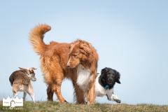 © all rights reserved - Photo by Lisanne Bakker