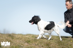 © all rights reserved - Photo by Lisanne Bakker