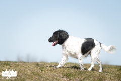 © all rights reserved - Photo by Lisanne Bakker