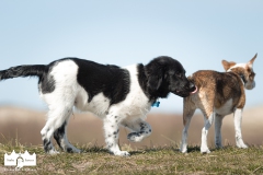 © all rights reserved - Photo by Lisanne Bakker