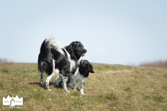 © all rights reserved - Photo by Lisanne Bakker