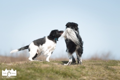 © all rights reserved - Photo by Lisanne Bakker