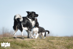 © all rights reserved - Photo by Lisanne Bakker