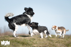 © all rights reserved - Photo by Lisanne Bakker