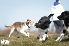 © all rights reserved - Photo by Lisanne Bakker