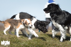 © all rights reserved - Photo by Lisanne Bakker