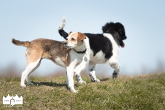 © all rights reserved - Photo by Lisanne Bakker