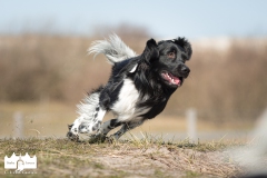 © all rights reserved - Photo by Lisanne Bakker