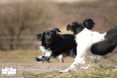 © all rights reserved - Photo by Lisanne Bakker