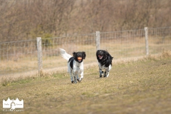 © all rights reserved - Photo by Lisanne Bakker