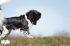 © all rights reserved - Photo by Lisanne Bakker