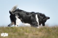 © all rights reserved - Photo by Lisanne Bakker